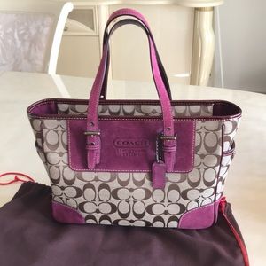 Coach bag with protective bag